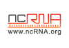 fRNA Database